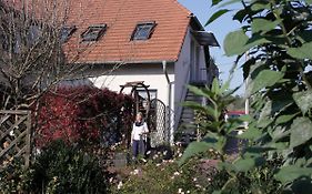 Holiday flats Luckaitztal-Gosda - DBS05090-CYB